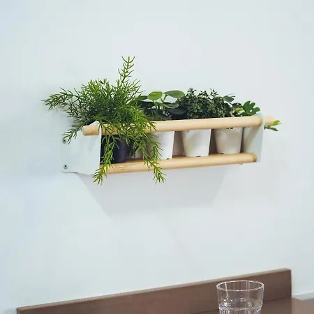 Coast Appartement *